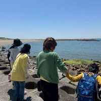 画像238